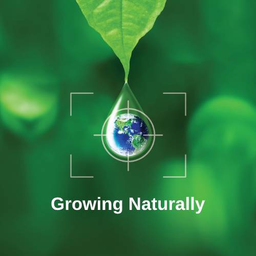 Green Earth